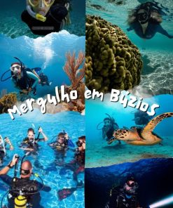 BUCEO en Buzios